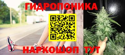 бошки Кулебаки