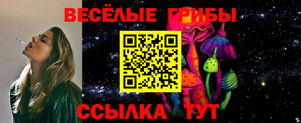 Галлюциногенные грибы мухоморы Серов